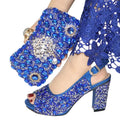 Women's Shoes and Bags To Match Set EDN104