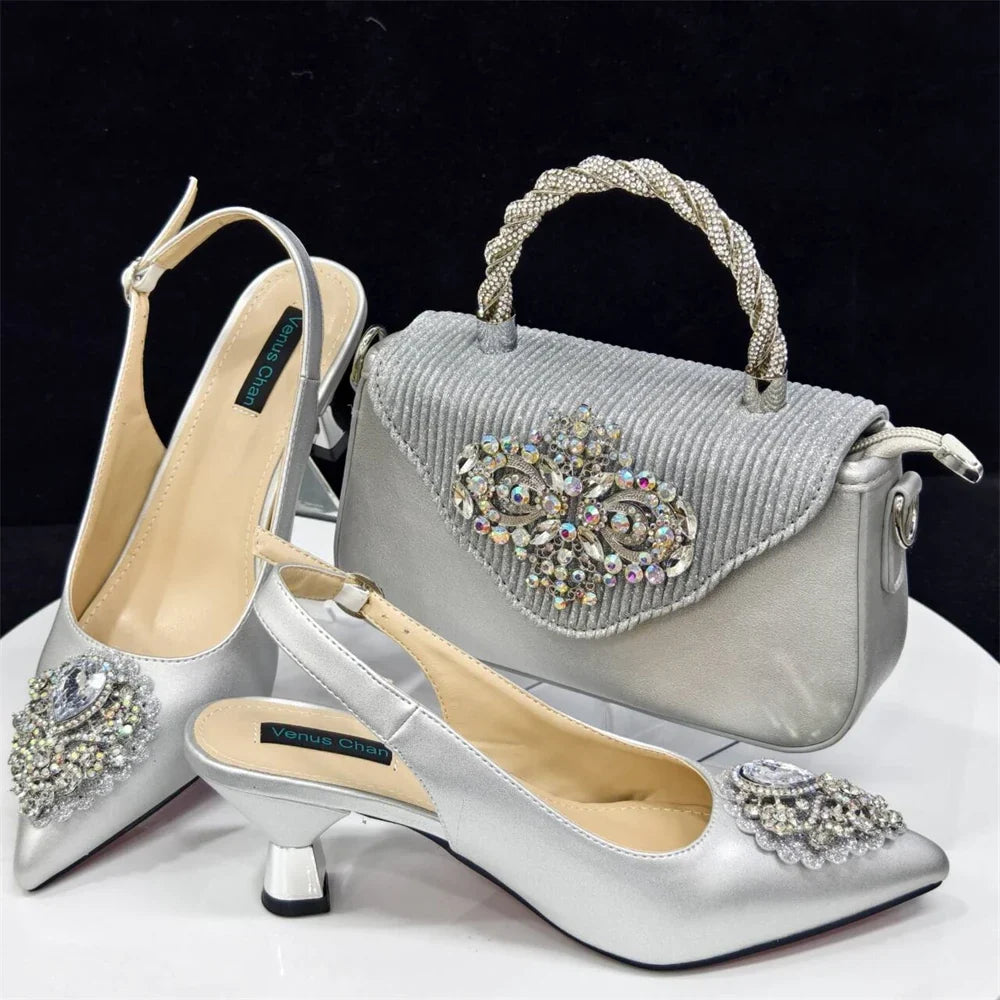 High Quality Ladies Shoes And Bags Set HAS1-23